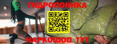 СК Кандалакша