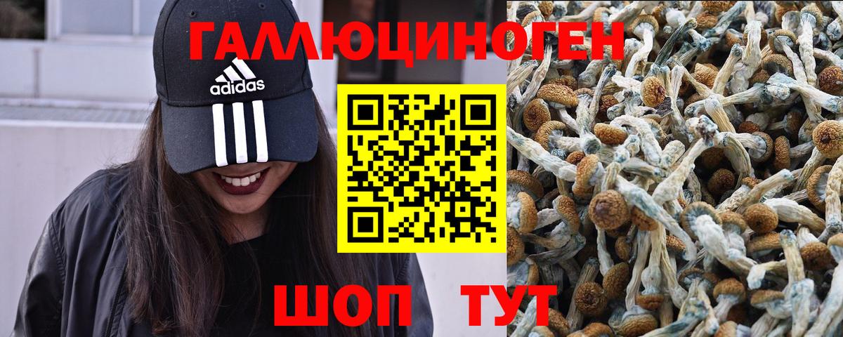 Галлюциногенные грибы прущие грибы  Вход с VPN  Ялта 