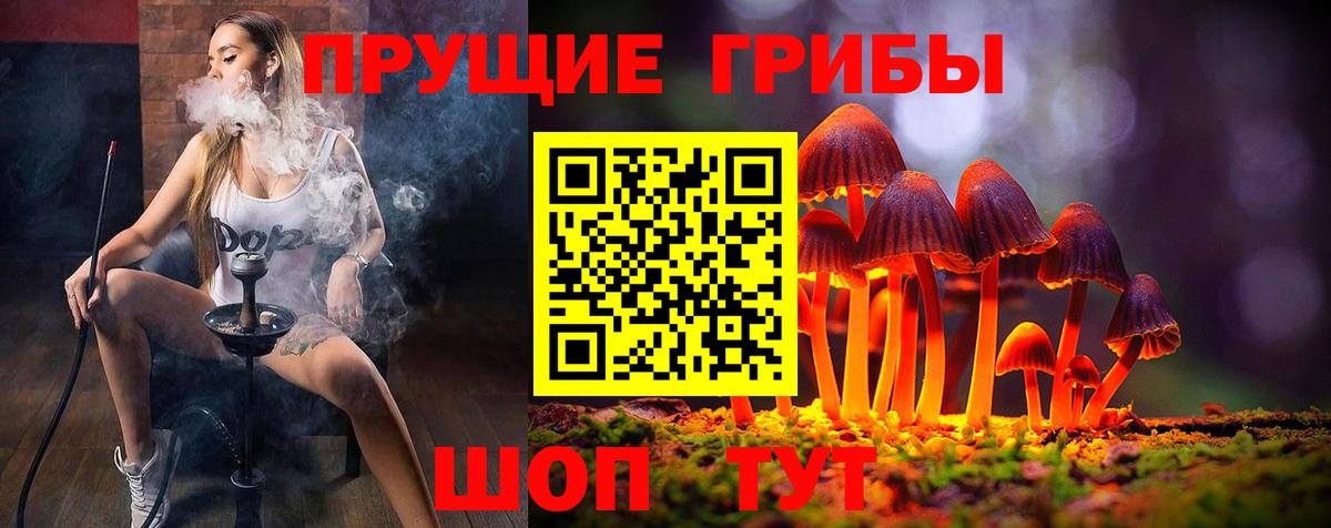 Псилоцибиновые грибы Cubensis Ялта
